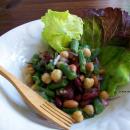 Saladmaster Recipe Summer Bean Salad by Cathy Vogt